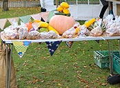 Produce stall with pumpkins and squash